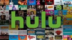 Streaming Platform Success Guide Build Like Netflix & Hulu is given by gizmott