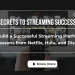 What Makes a Streaming Platform Successful? by gizmott